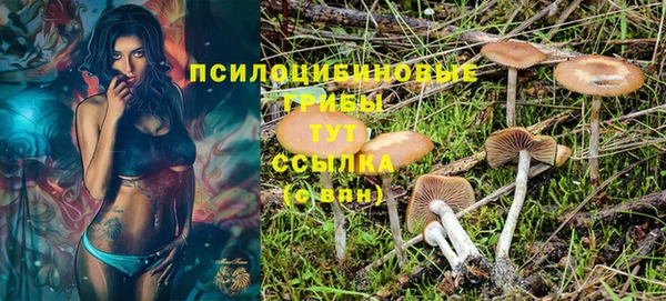 скорость Алзамай