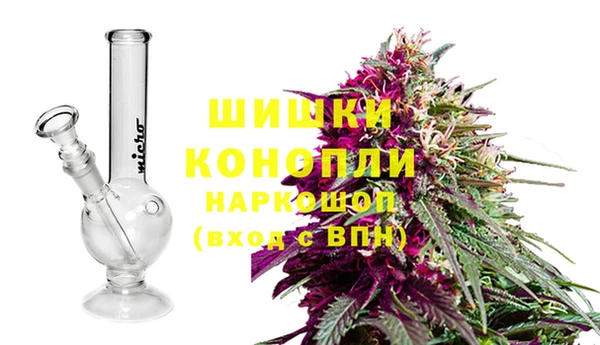 эйфоретик Покачи