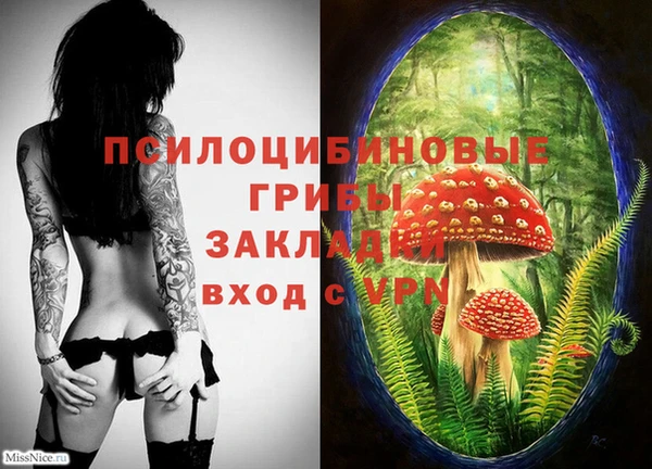 скорость Алзамай