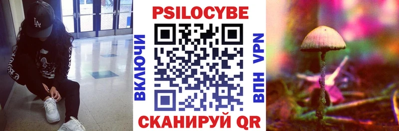 Галлюциногенные грибы Psilocybine cubensis даркнет сайт Апрелевка